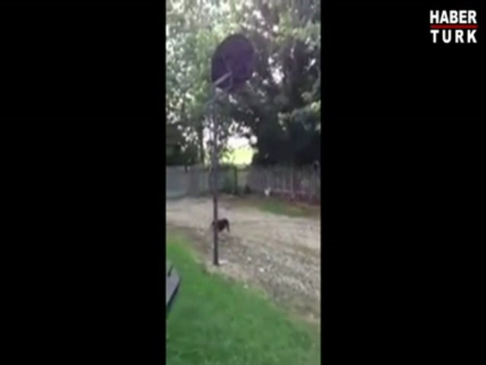 Kadıköy günlük kiralık daire ev 05426834113 sahibinden kadıköy istanbul anadolu  günlük kiralık sahibinden apart pansiyon otel rezidans kadıköy sahibinden evler