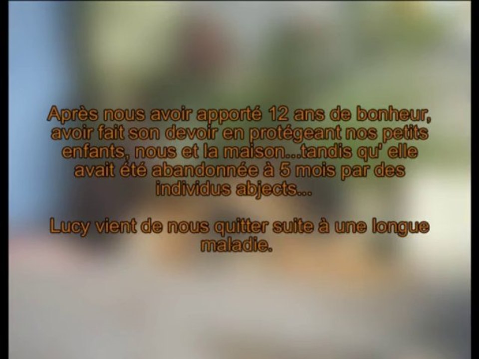 Hommage à Lucy