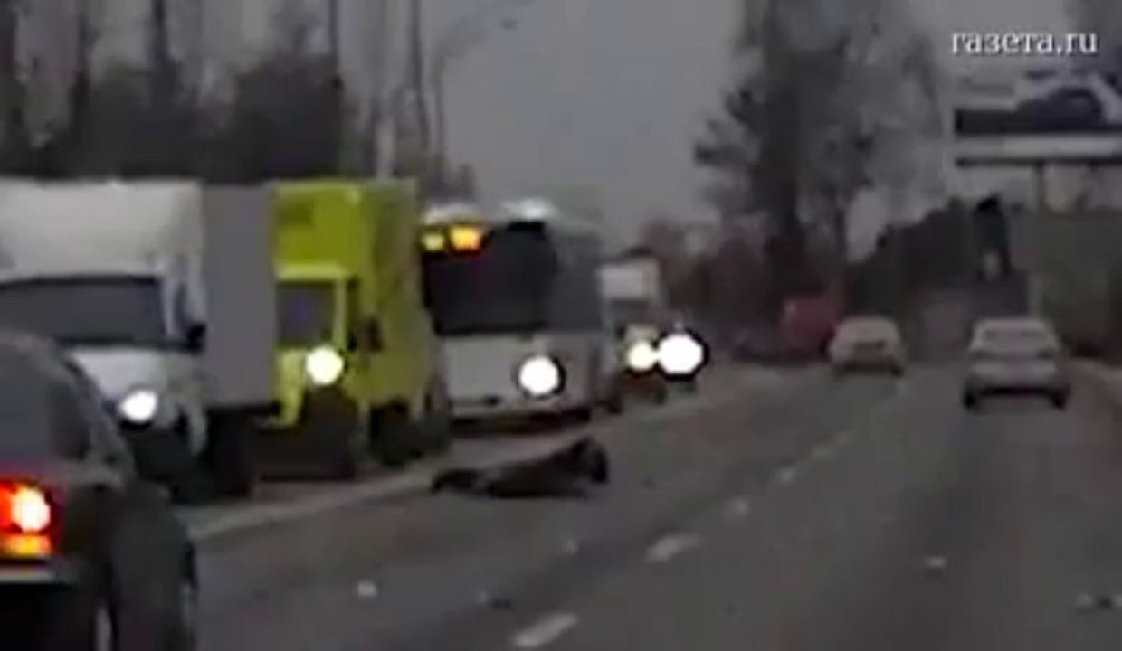 Сбил инспектора и скрылся