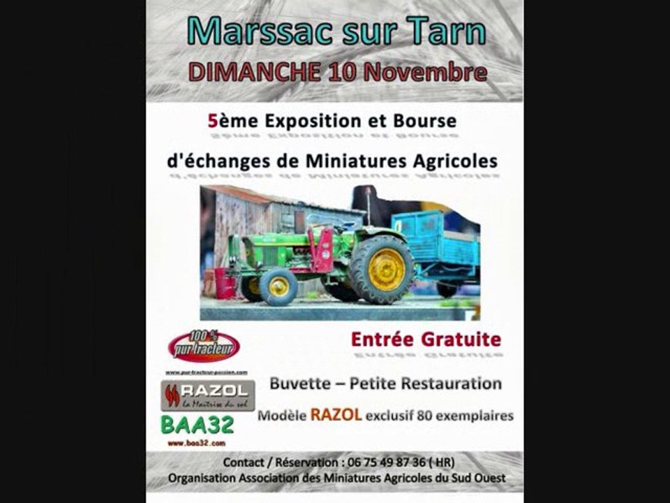 EXPOSITION DE MINIATURES AGRICOLES DE MARSSAC SUR TARN 2013