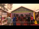 Flower of different species at Sikkim stall: North East Fest, Delhi