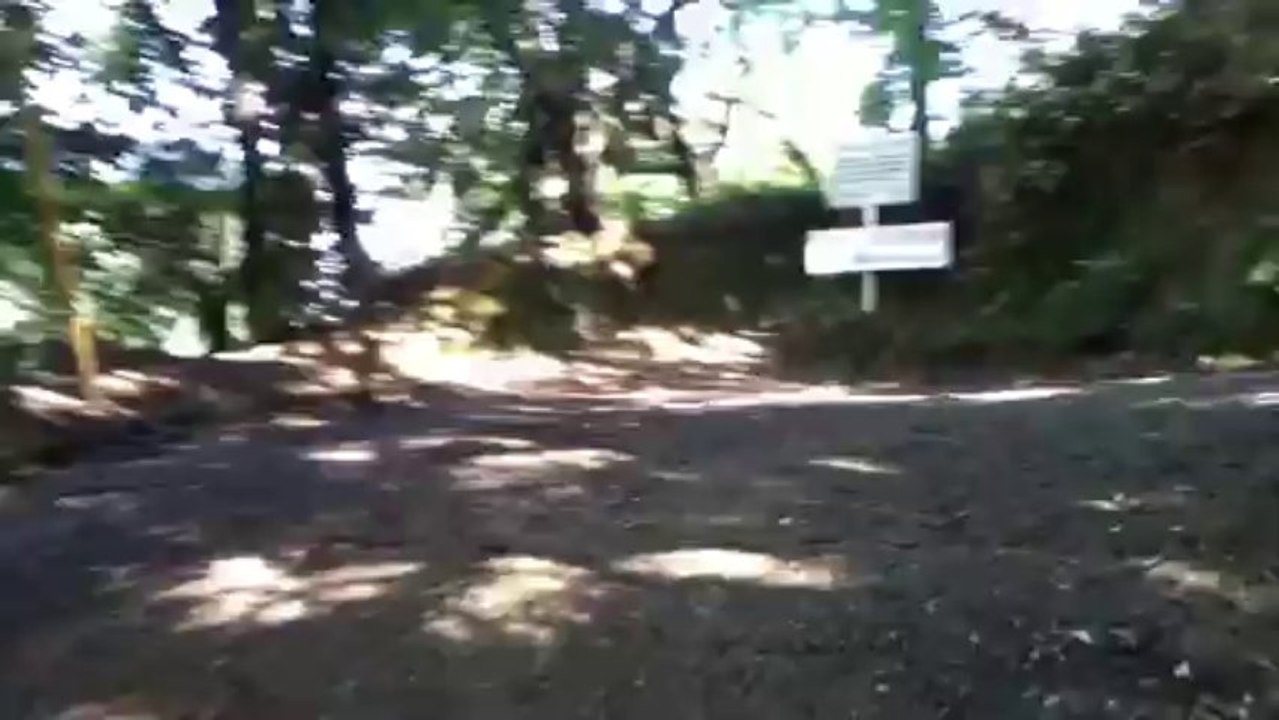 岩戸神社