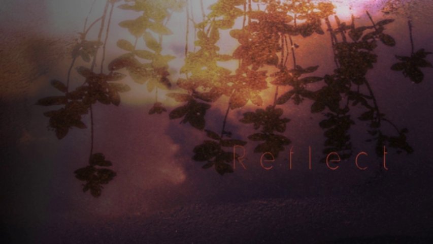 Reflect