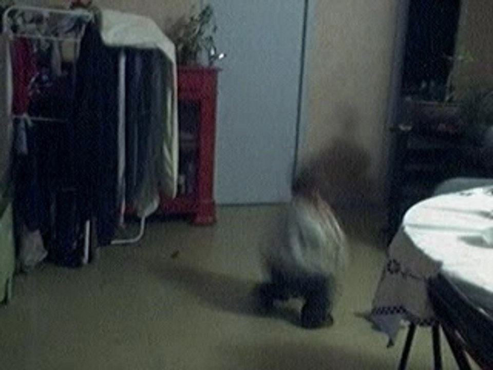 Vidéo 15