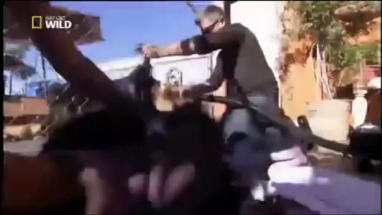 Cesar Millan S01 Ep14-2 D