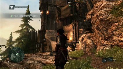 AC IV BLACK FLAG AVELINE 001