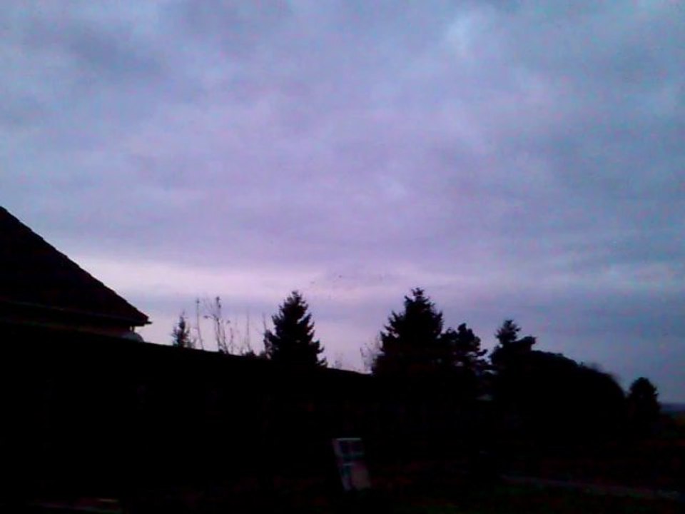 nuage d'oiseaux