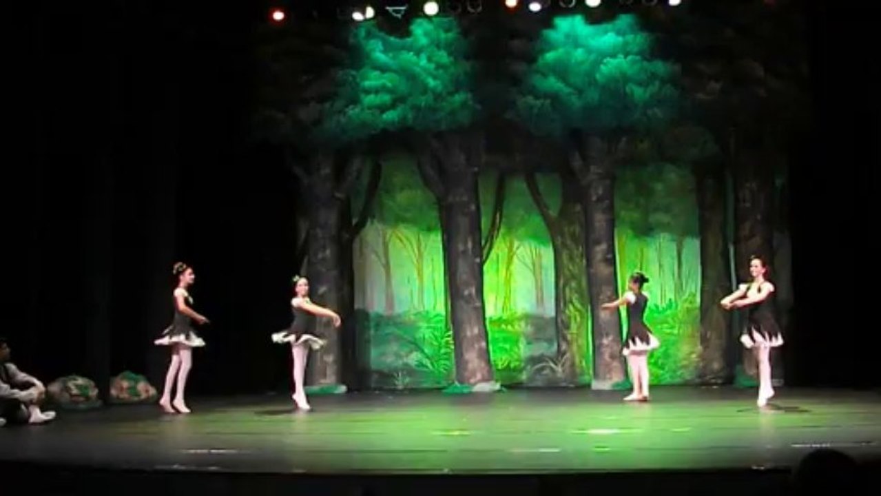 Ballet - Encontro de dois Mundos - com Luiza Andrade Silva (fragmentos)