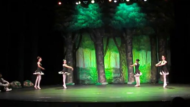 Ballet - Encontro de dois Mundos - com Luiza Andrade Silva (fragmentos)