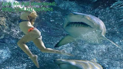 Download Shark Night 3D Full Movie 2011