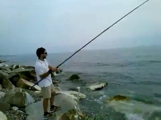 SURFCASTING: recupero mormora. How to fish a striped seabream