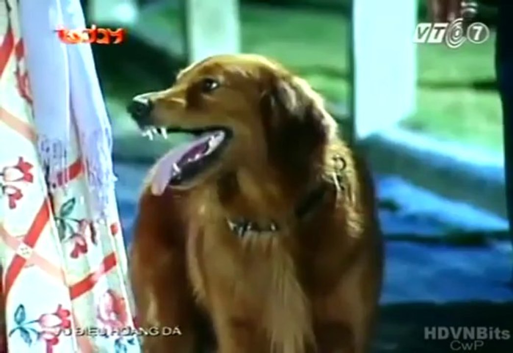 Xem Phim Vũ Điệu Hoang Dã - Today Tv - Tap 073
