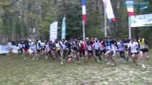 Cross de Volvic 2013 - Elites Hommes