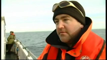 Whale watching in Wexford Ireland... Nationwide RTE 1 Broadcast  Wednesday 6th February 2013