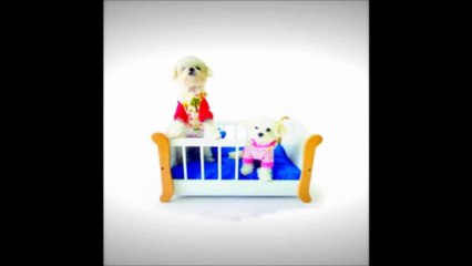 CAMA PARA PERROS DE MADERA EN MASBAJITO.COM - CARACAS - VENEZUELA