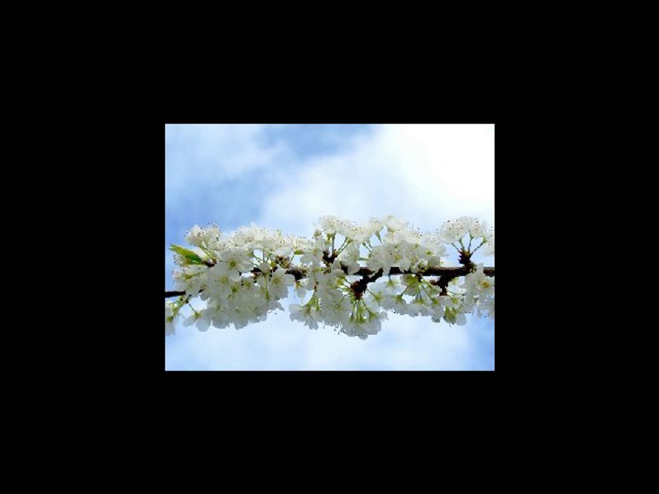 vivre pour longtemps