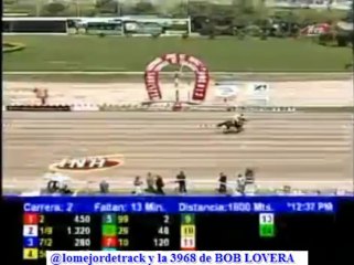 larinconada 1 CARRERA DOMINGO 24 DE NOVIEMBRE DEL 2013