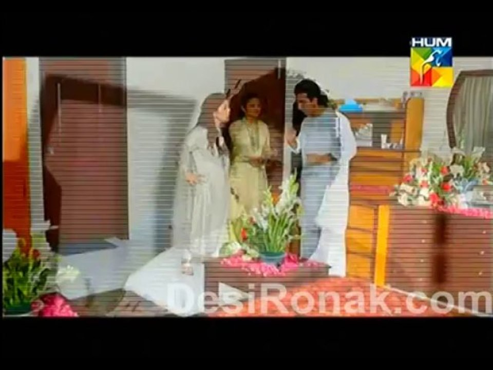 sharik part 2