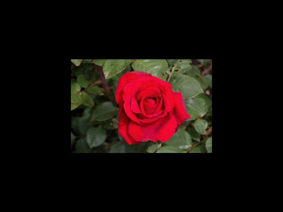 ton amour là