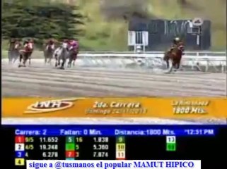 larinconada 2 CARRERA DOMINGO 24 DE NOVIEMBRE DEL 2013