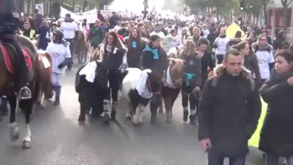 Manifestation Paris 24 Novembre 2013