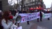 Paris (France) 24/11/2013 Manifestation ANTIGONE contre les violence faites aux femmes
