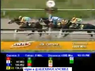 larinconada 5 carrera DOMINGO 24 DE NOVIEMBRE DEL 2013