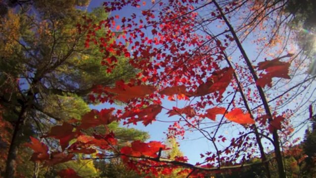 heartbreak by michael hermiston (original)