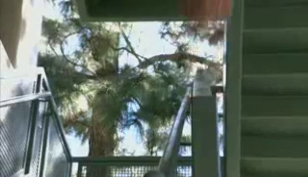 VID-20131125-WA0001.mp4