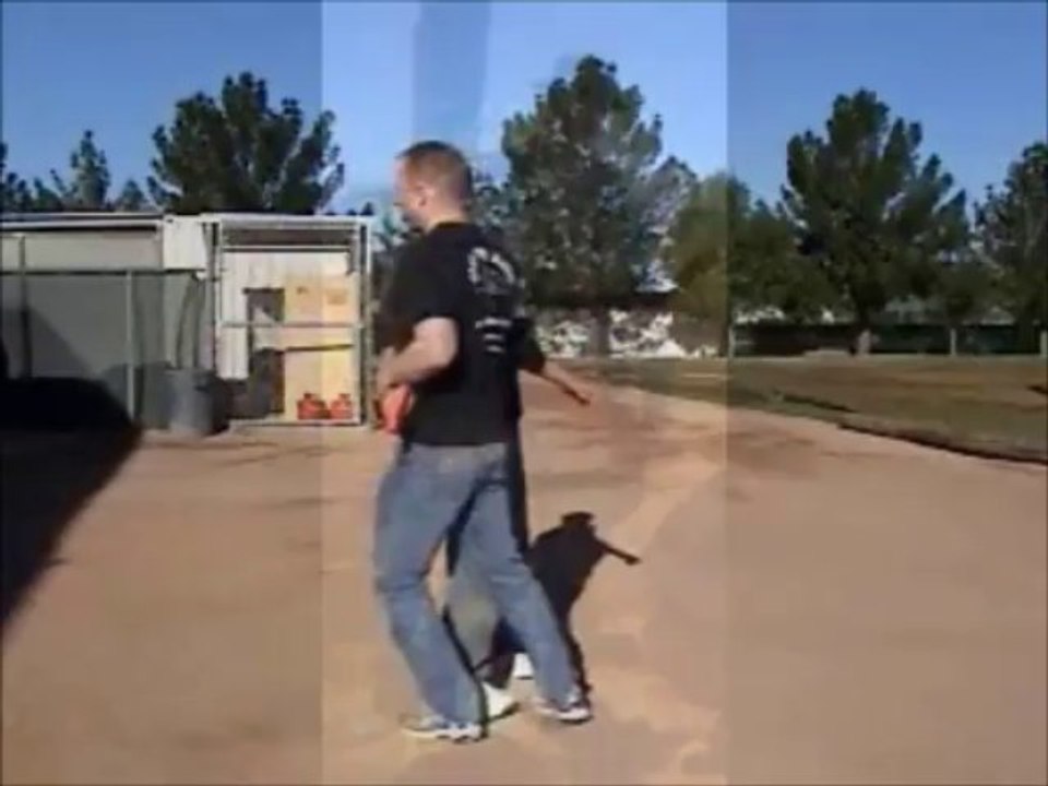 Brian Allen - Director - International Security Training LLC - Executive Protection Instructor