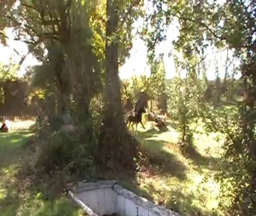 Domaine de Millegrand, entrainement Odra