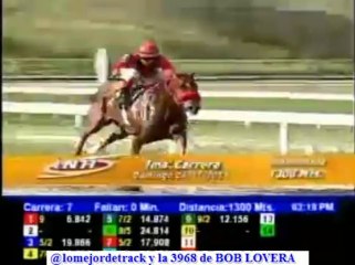 larinconada 7 CARRERA DOMINGO 24 DE NOVIEMBRE DEL 2013