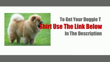 Get This Insane T-Shirt