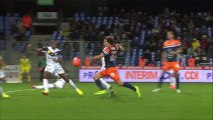 Montpellier Hérault SC (MHSC) - EA Guingamp (EAG) Le résumé du match (14ème journée) - 2013/2014