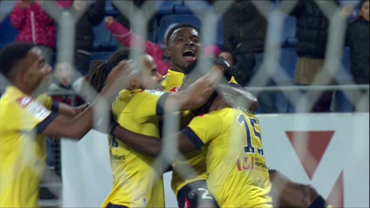 Ligue 1 - Tous les buts de la 14ème journée - 2013/2014