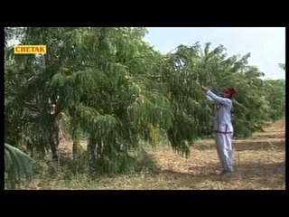 Raja Bhartari 3   Nathu Singh Sekhawat   Musical Rajasthani Katha1