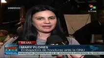 Elecciones consolidarán la democracia en Honduras: embajadora Flores