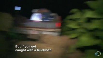 Moonshiner's Dilemma _ Moonshiners