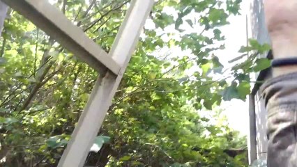 Meet M13's WIFE - Military Base Rescue