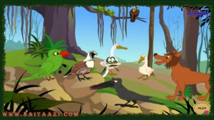 Discover the Story at Naitaazi.com