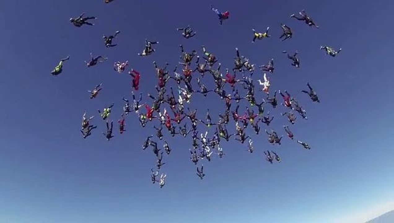 Freefly Record - 64-Way Head-Down - 2013