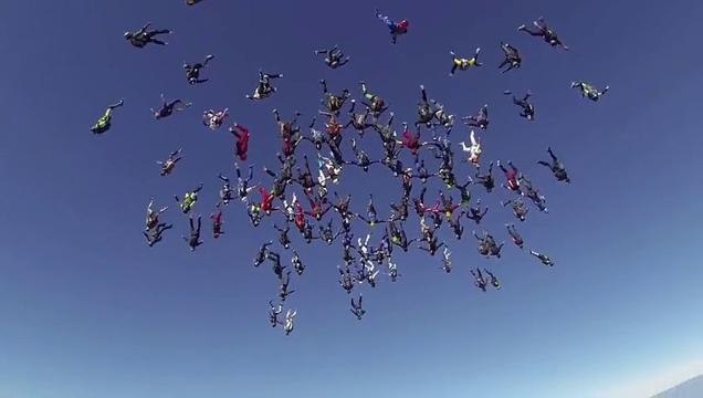 Freefly Record - 64-Way Head-Down - 2013