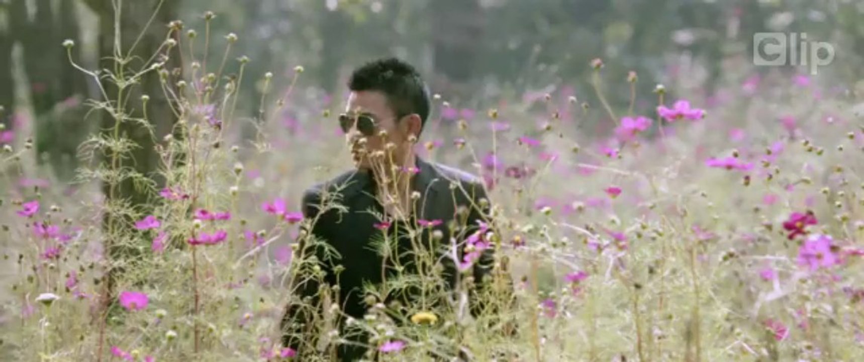 Diep Vu Tuyet Mat_02