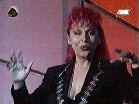 Zorica Brunclik - Ovo je noć kada ljubav umire