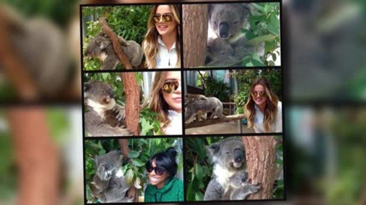 Khloe Kardashian y un grupo de Koalas en un zoológico australiano