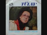 Tülay Özer - DELİ ETME BENİ AŞK ( plak )