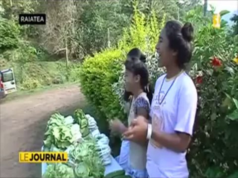 Journée internationale de lutte contre les violences faites aux femmes