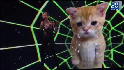 Miley Cyrus en bikini et un chaton, le duo le plus improbable des AMA