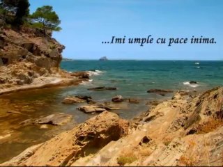 SPERANTA - Prezenta Ta