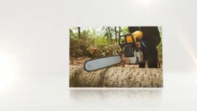 Dadoo's Stump Grinding (757) 250-7372